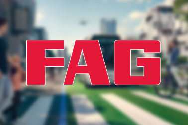德國(guó)FAG軸承